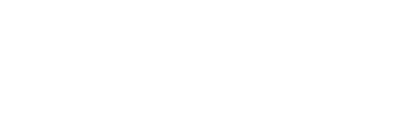 Government Digital Delivery Agency